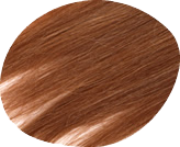 髪の毛のしくみ