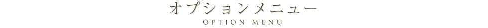 オプションメニュー