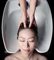 髪の毛のしくみ