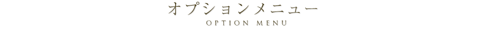 オプションメニュー